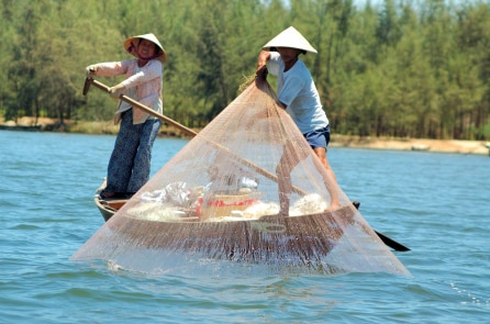 Việt Nam đánh mất cơ hội ‘dân số vàng’ có một không hai như thế nào?