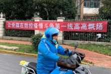 Dân chủ, Độc tài và Dịch bệnh