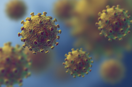 Nghiên cứu: Virus corona sống 28 ngày trên tiền mặt
